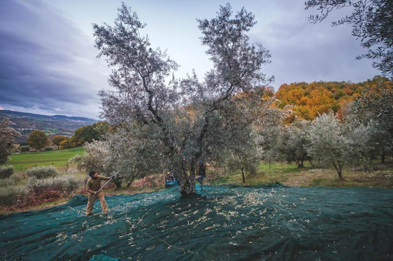 Agriturismo Bellofatto Torella dei Lombardi Экстерьер фото
