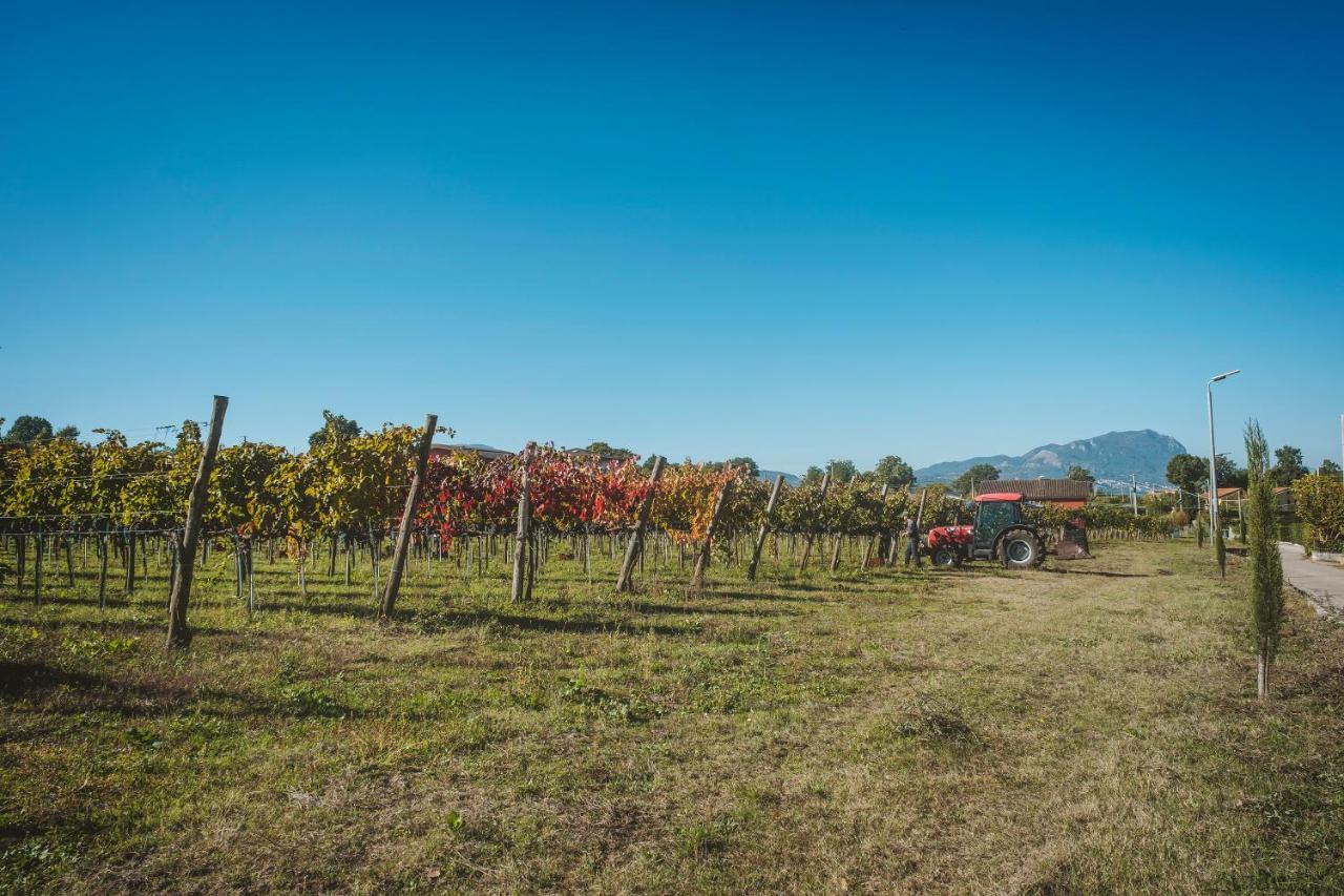 Agriturismo Bellofatto Torella dei Lombardi Экстерьер фото