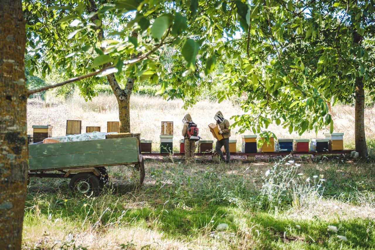 Agriturismo Bellofatto Torella dei Lombardi Экстерьер фото